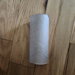 Craft Rolls Cardboard Tubes Bulk‎ Lot Art Supplies DIY Projects 20 Count